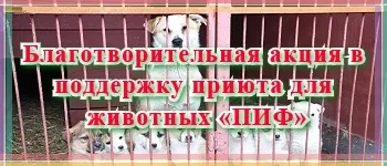 Обновление зарегистрированных научных работ